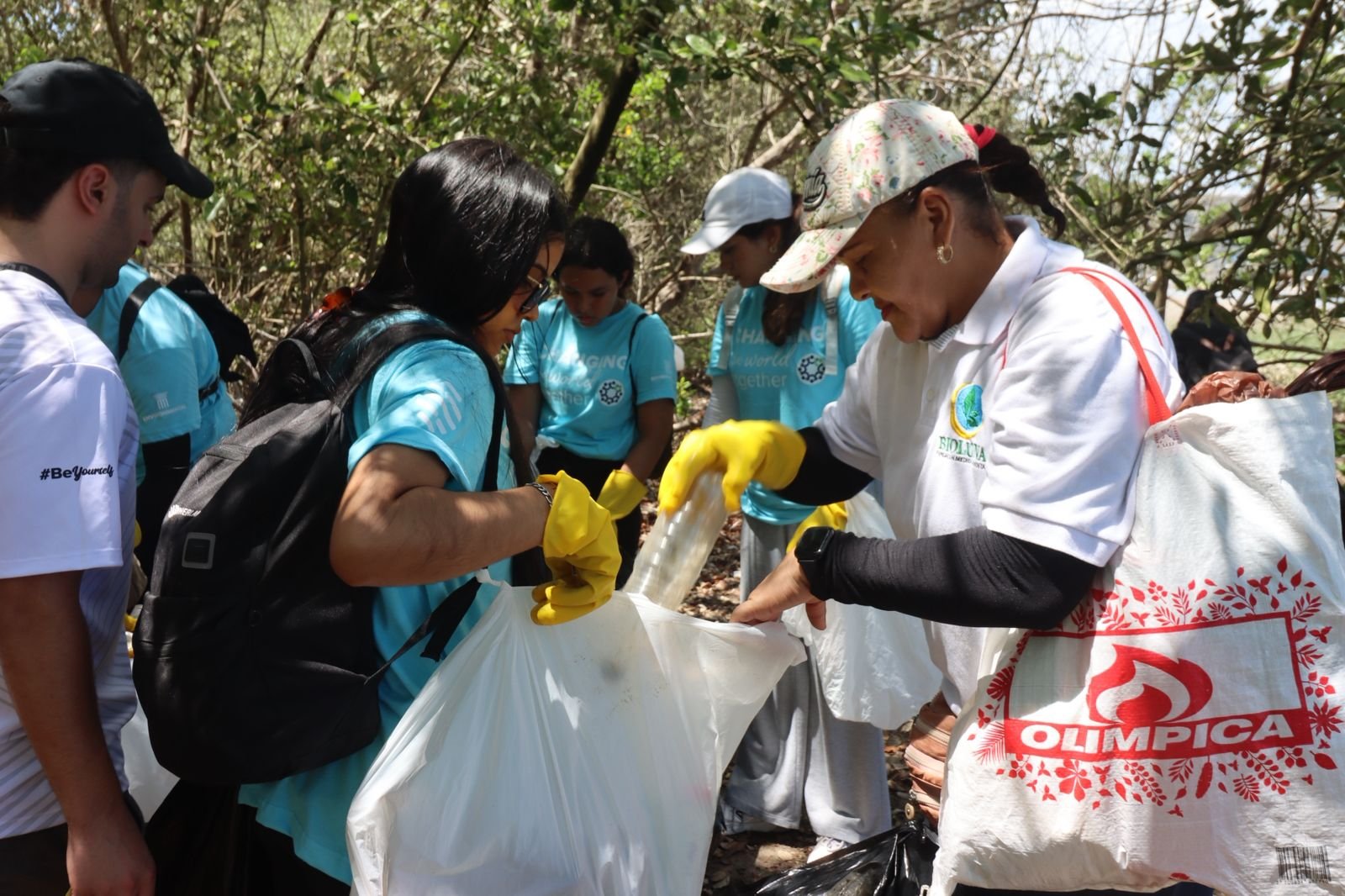 Limpieza de playa con voluntarios organizados y materiales de recolección